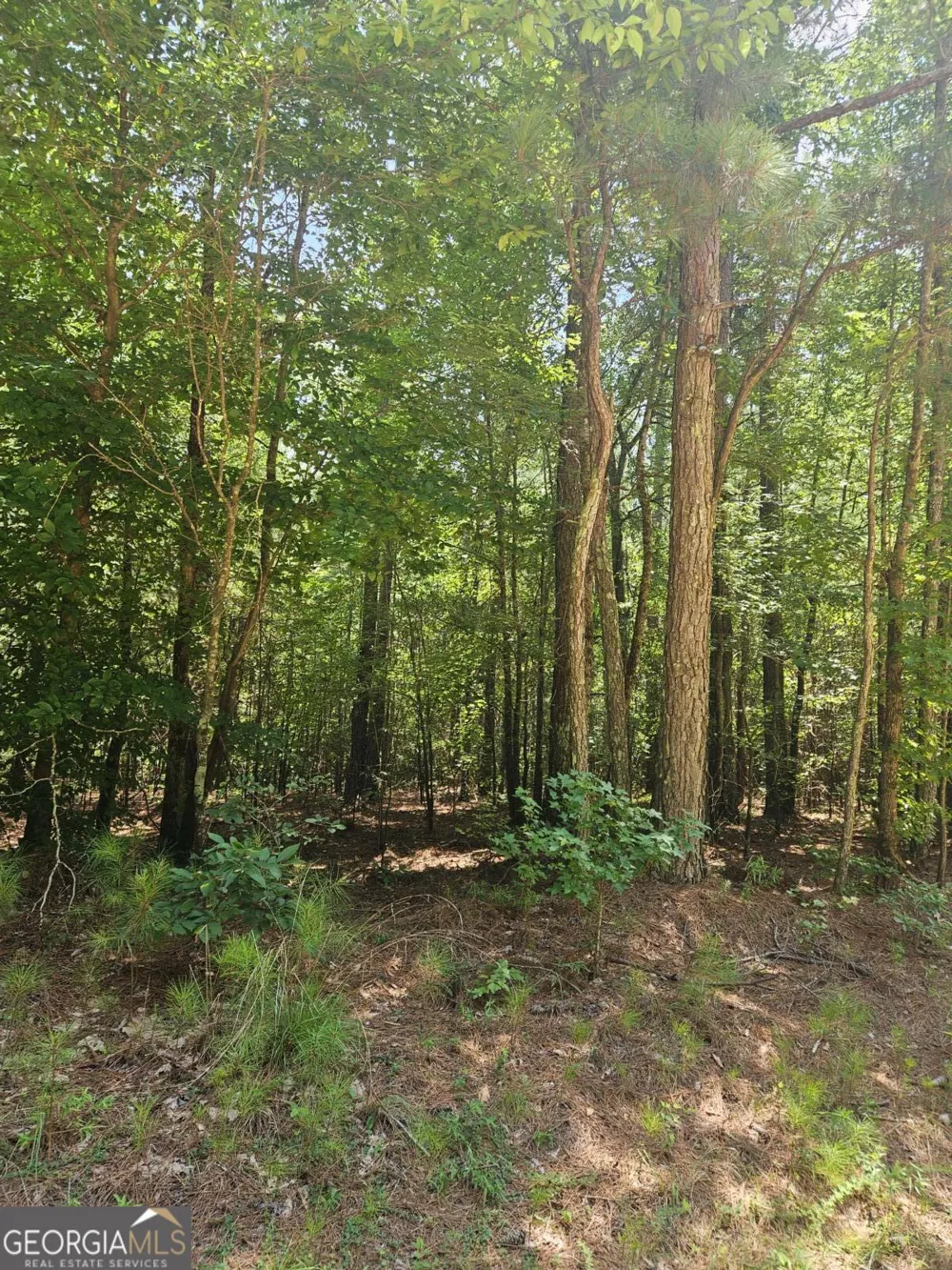 292 Mccannon Rd Tract 3 Carlton, GA 30627