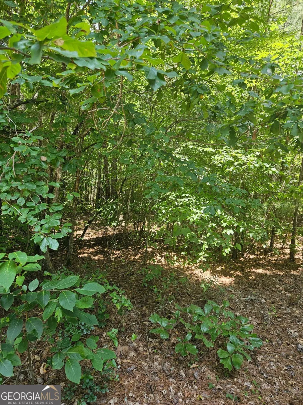 292 Mccannon Rd Tract 3 Carlton, GA 30627