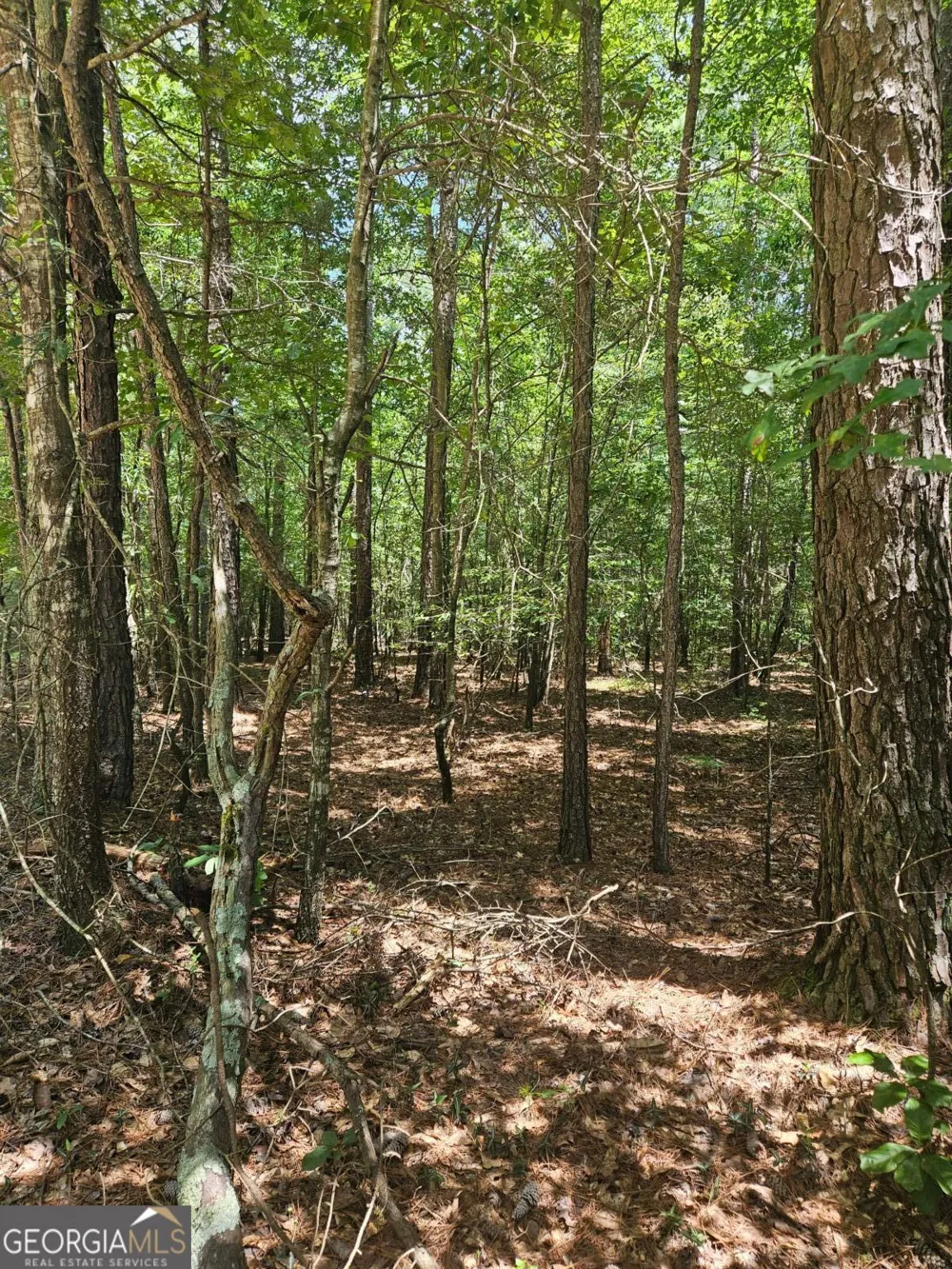 292 Mccannon Rd Tract 3 Carlton, GA 30627