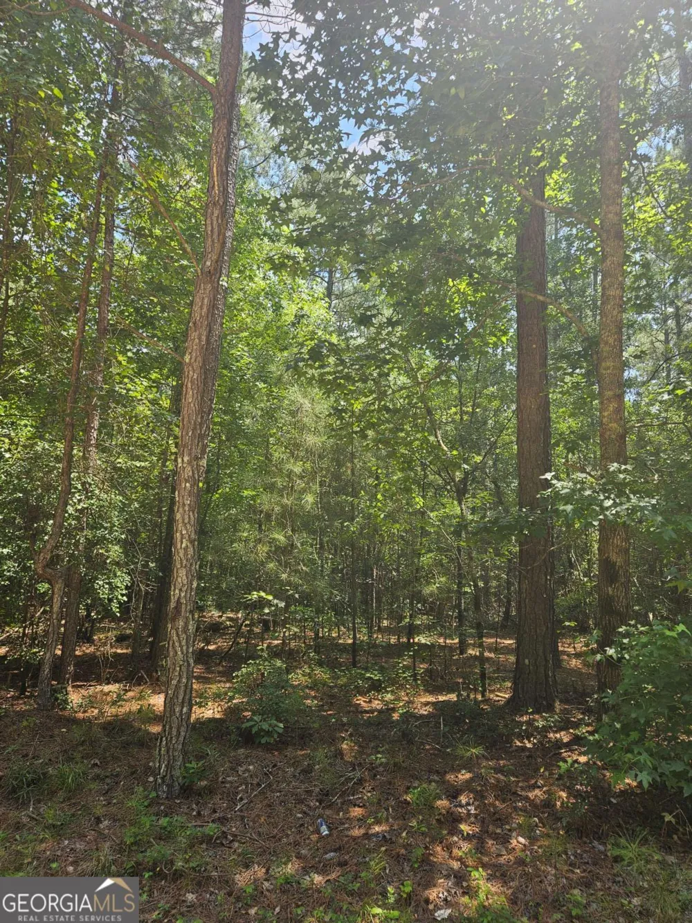292 Mccannon Rd Tract 3 Carlton, GA 30627