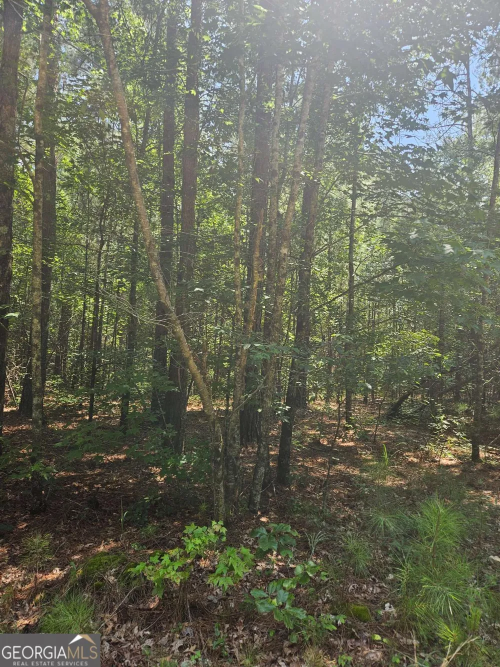292 Mccannon Rd Tract 3 Carlton, GA 30627