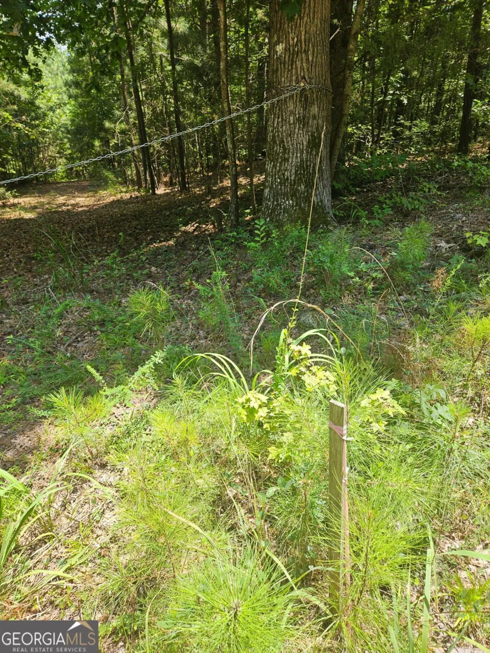 292 Mccannon Rd Tract 3 Carlton, GA 30627