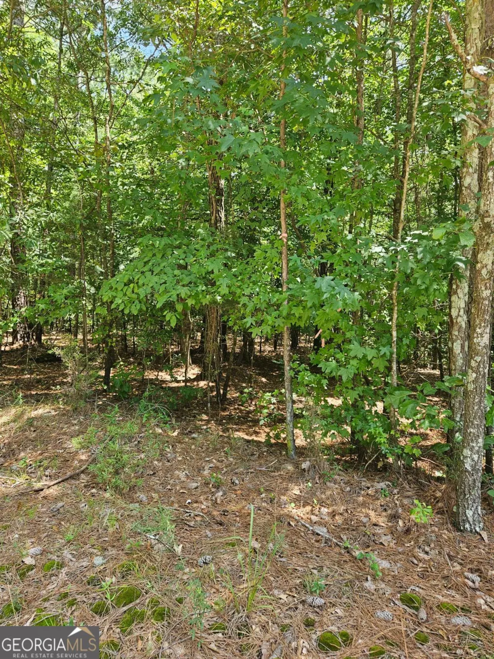 292 Mccannon Rd Tract 3 Carlton, GA 30627