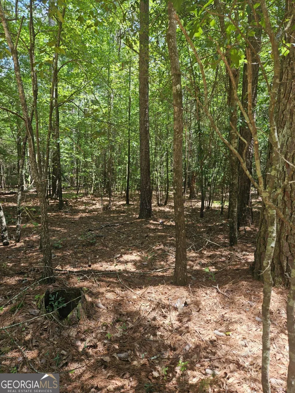 292 Mccannon Rd Tract 3 Carlton, GA 30627