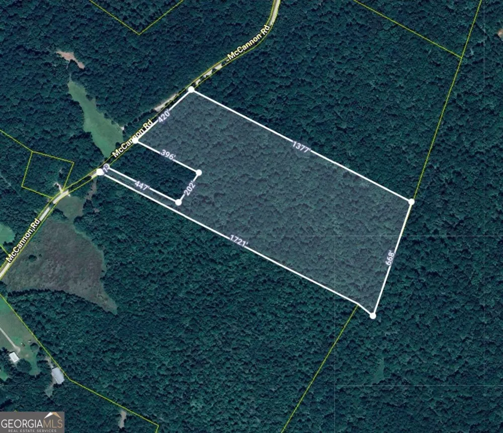 292 Mccannon Rd Tract 3 Carlton, GA 30627