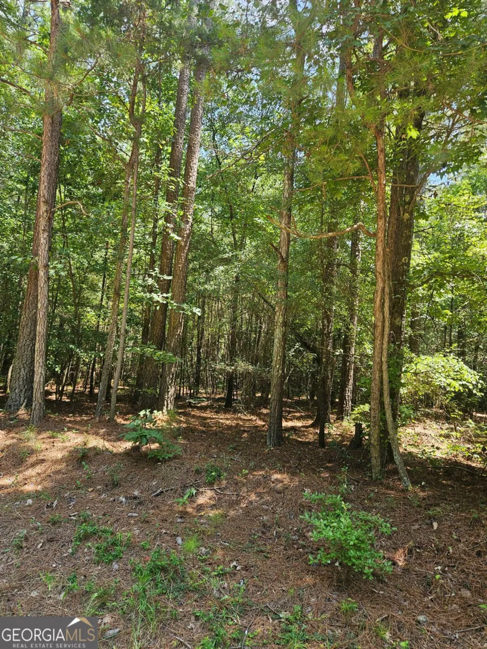 292 Mccannon Rd Tract 3 Carlton, GA 30627