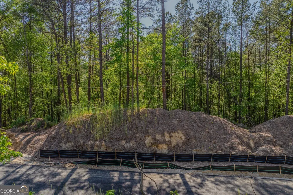 1559 Whitley RD Dacula, GA 30019