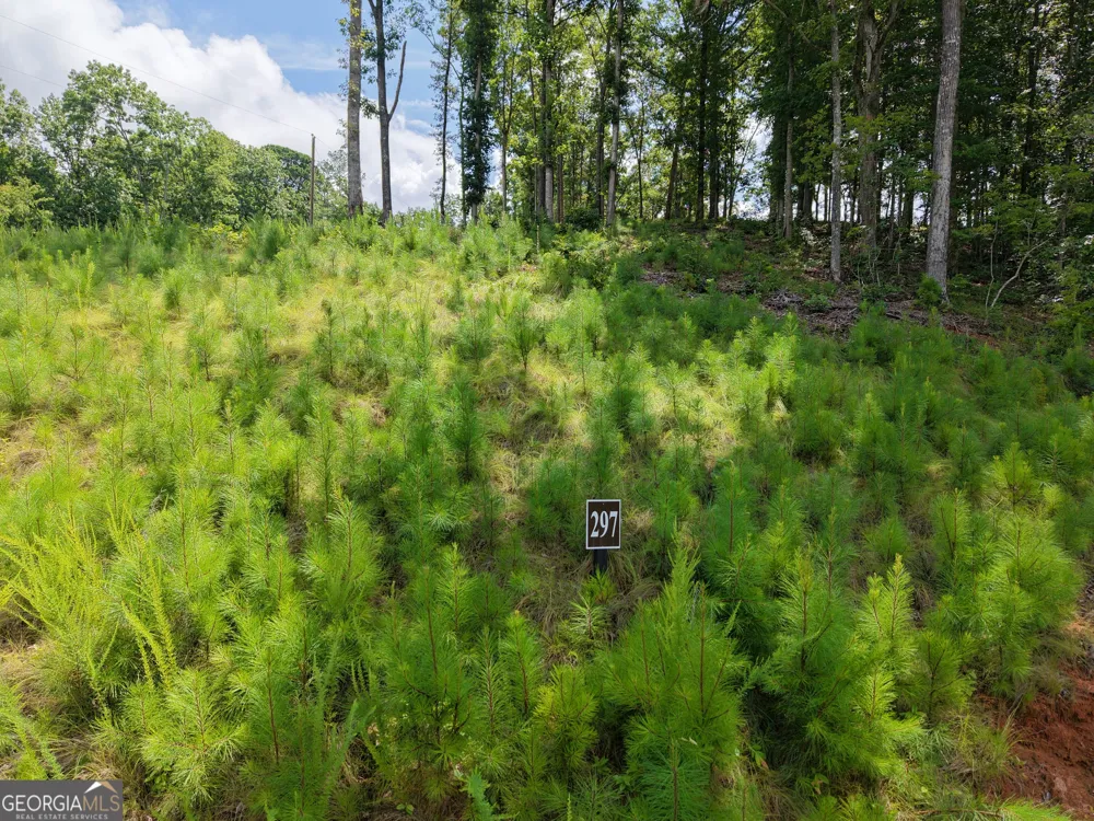297 Pebble TRCE Talking Rock, GA 30175