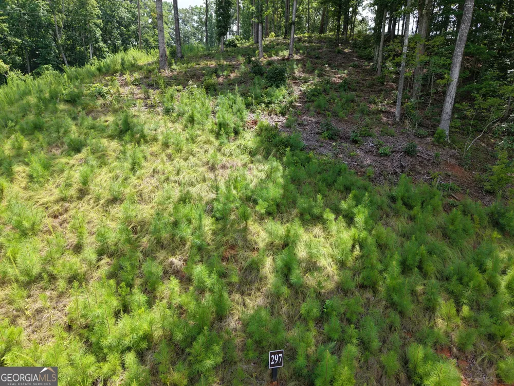 297 Pebble TRCE Talking Rock, GA 30175