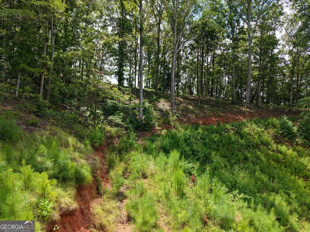 297 Pebble TRCE Talking Rock, GA 30175