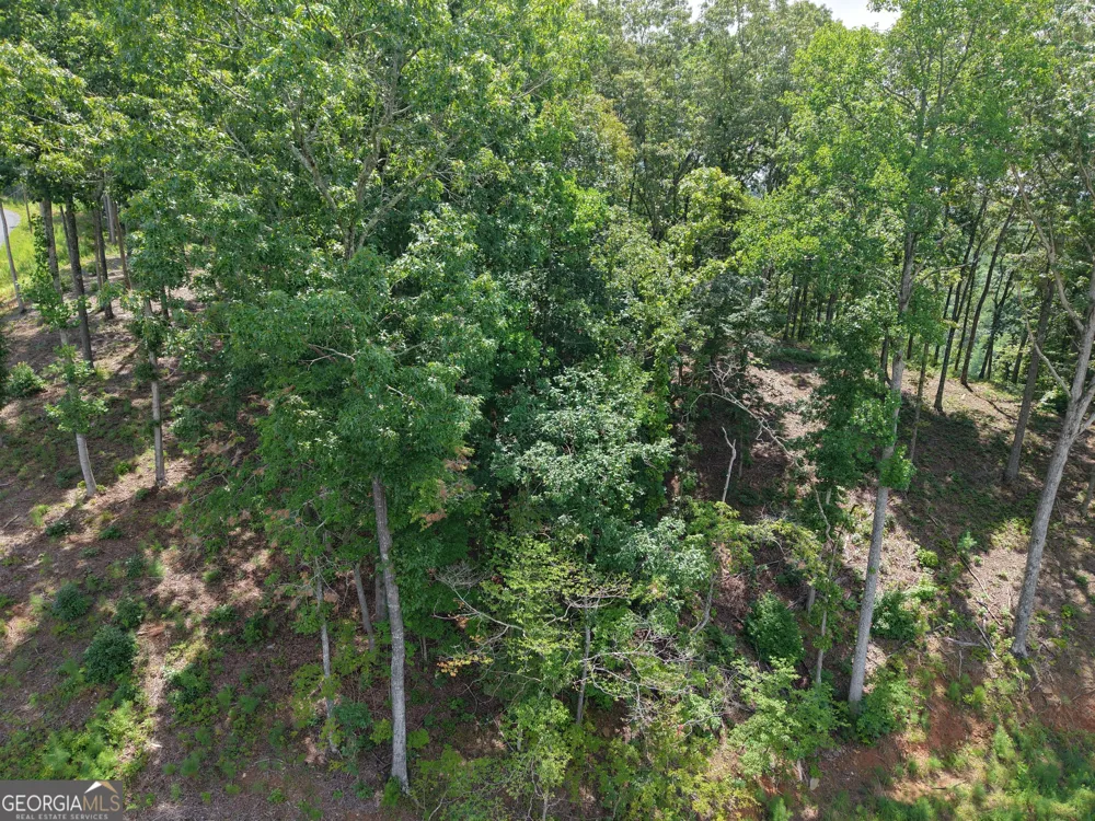297 Pebble TRCE Talking Rock, GA 30175