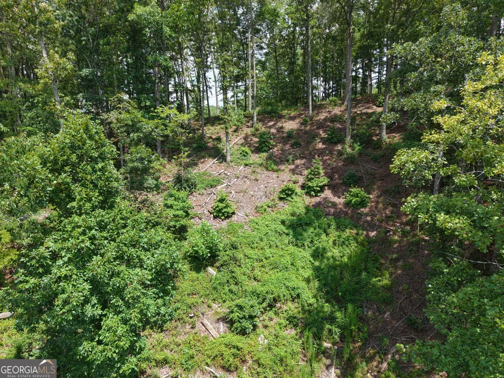 297 Pebble TRCE Talking Rock, GA 30175