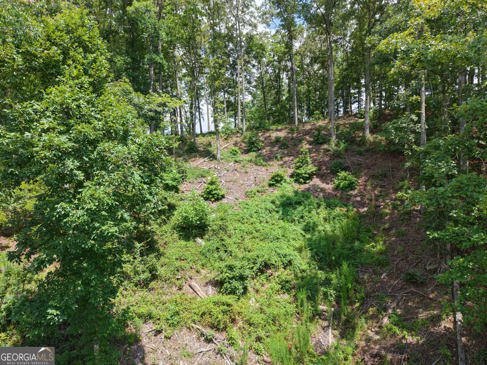 297 Pebble TRCE Talking Rock, GA 30175
