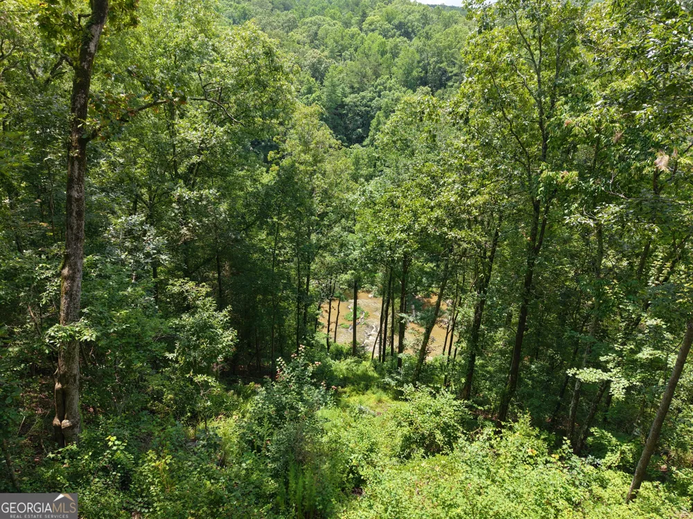 297 Pebble TRCE Talking Rock, GA 30175