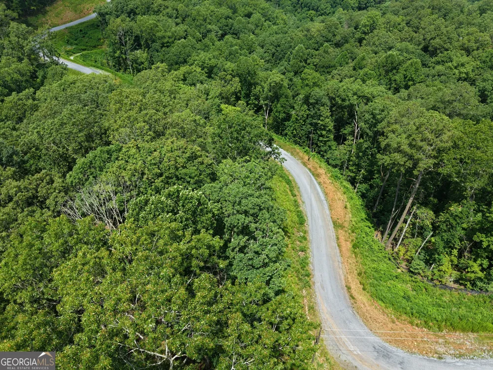 297 Pebble TRCE Talking Rock, GA 30175