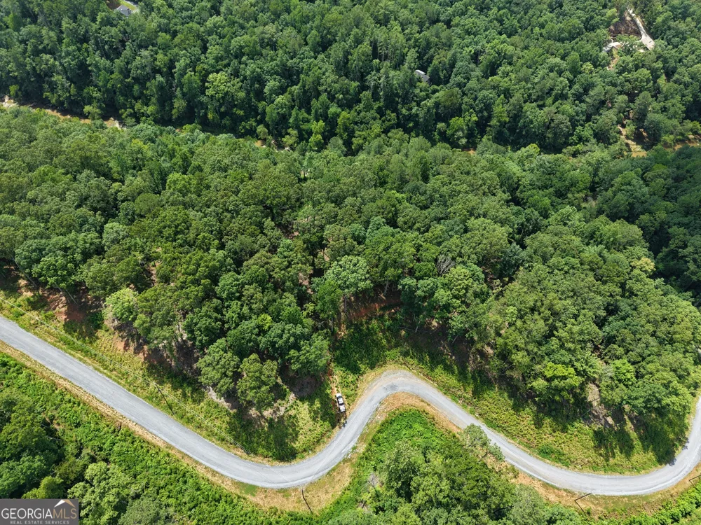 297 Pebble TRCE Talking Rock, GA 30175