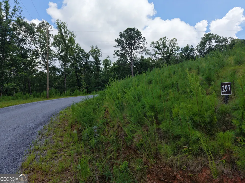 297 Pebble TRCE Talking Rock, GA 30175