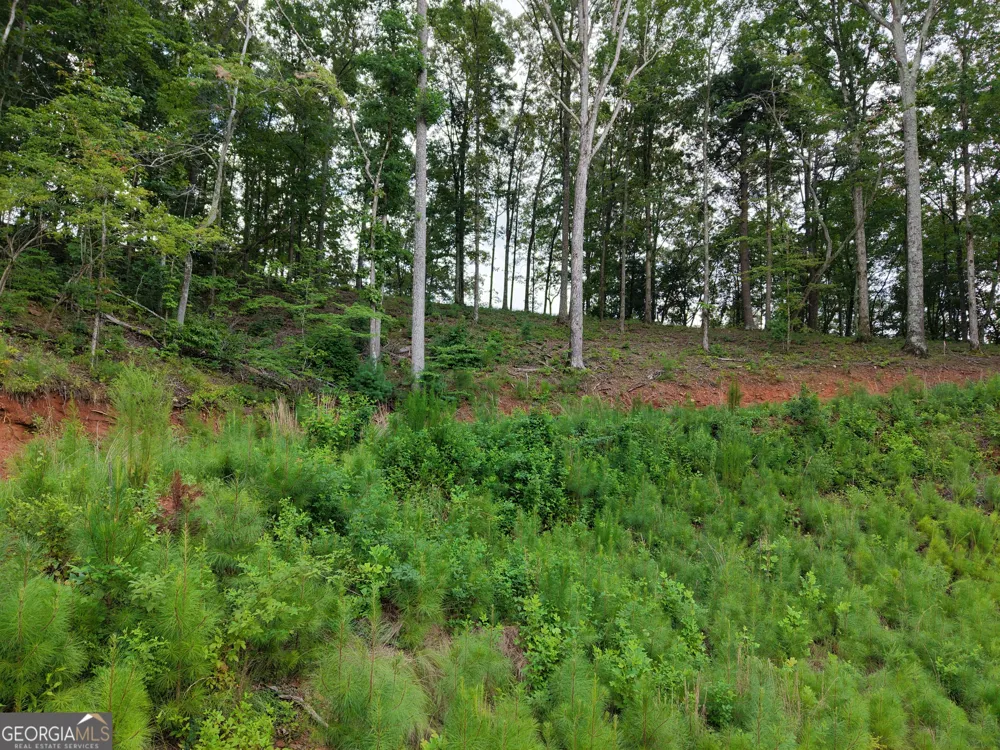 297 Pebble TRCE Talking Rock, GA 30175