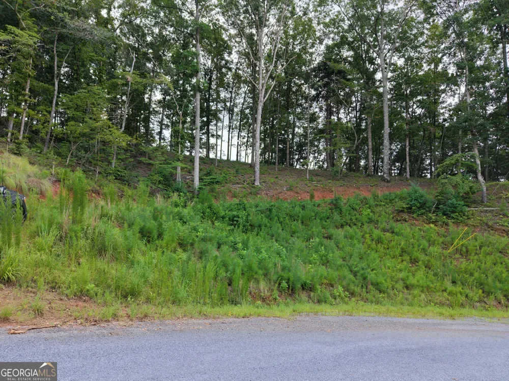297 Pebble TRCE Talking Rock, GA 30175