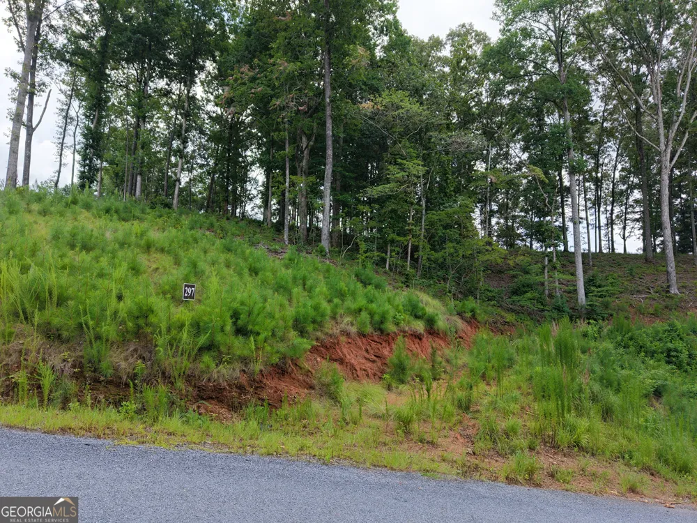 297 Pebble TRCE Talking Rock, GA 30175
