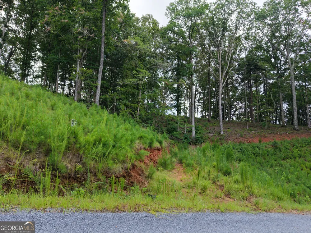 297 Pebble TRCE Talking Rock, GA 30175