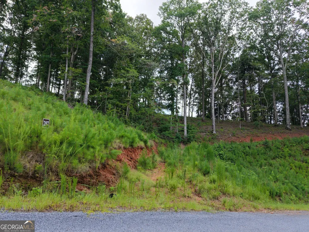 297 Pebble TRCE Talking Rock, GA 30175