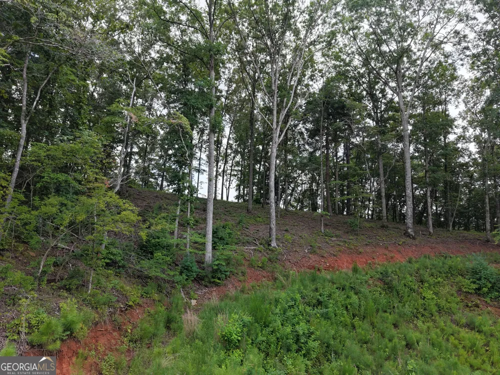 297 Pebble TRCE Talking Rock, GA 30175