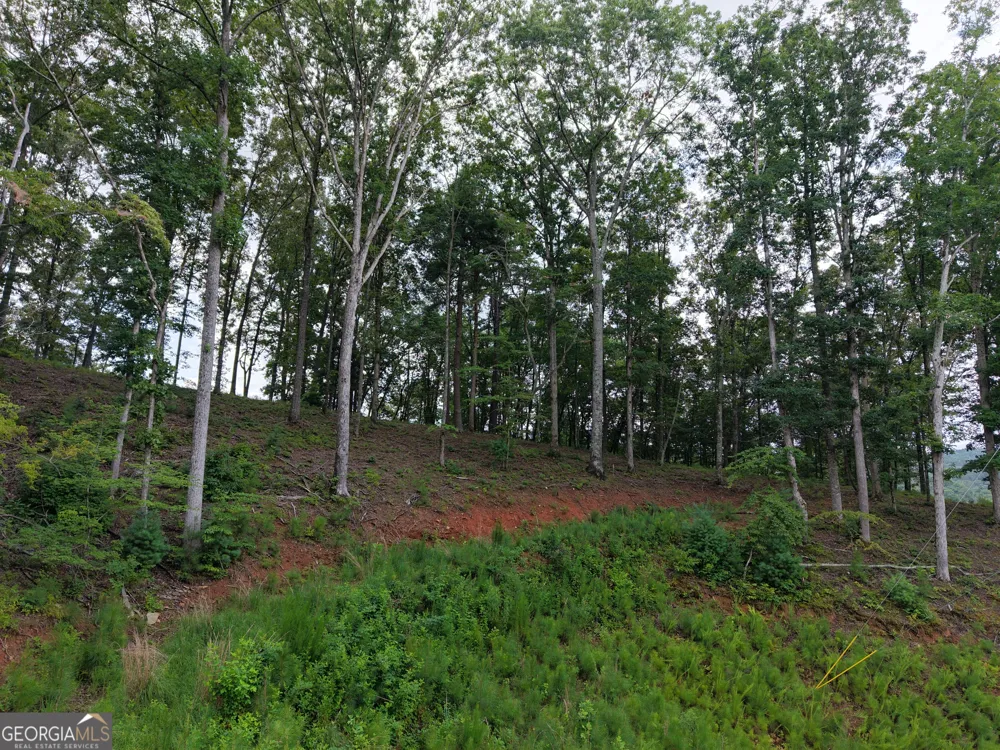 297 Pebble TRCE Talking Rock, GA 30175