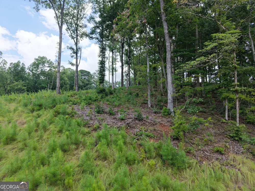 297 Pebble TRCE Talking Rock, GA 30175