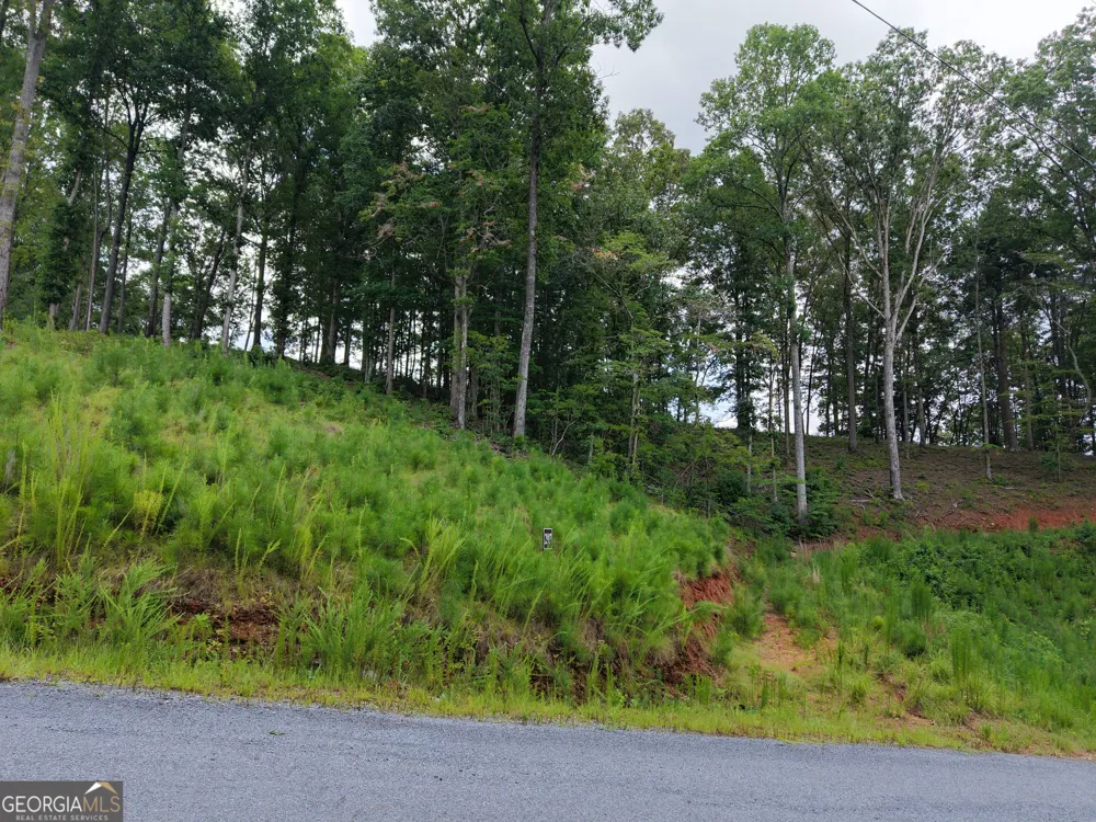 297 Pebble TRCE Talking Rock, GA 30175