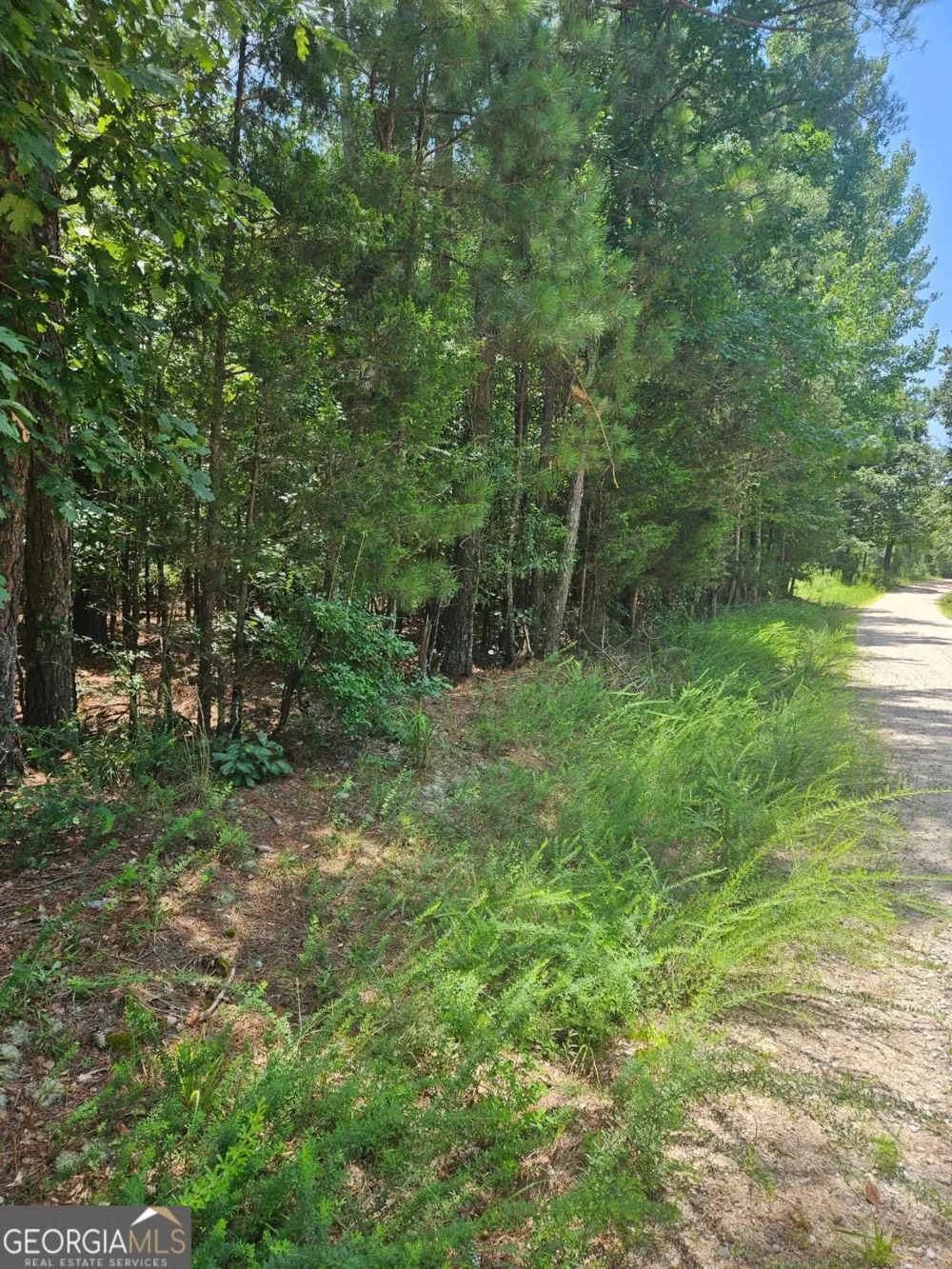 292 Mccannon Rd Tract 3A Carlton, GA 30627