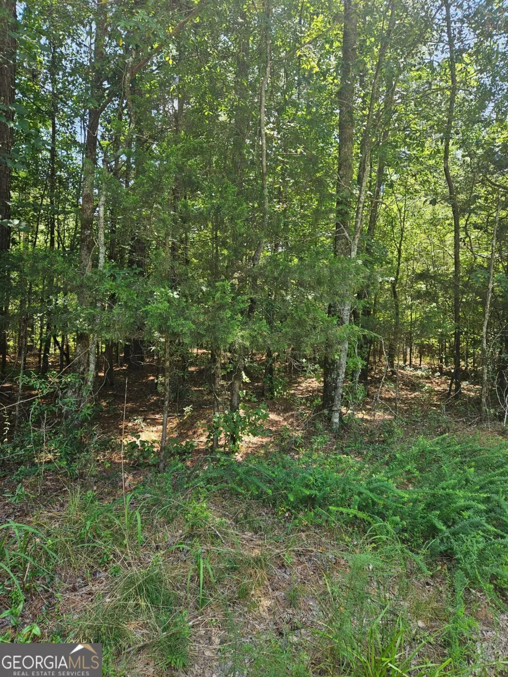 292 Mccannon Rd Tract 3A Carlton, GA 30627