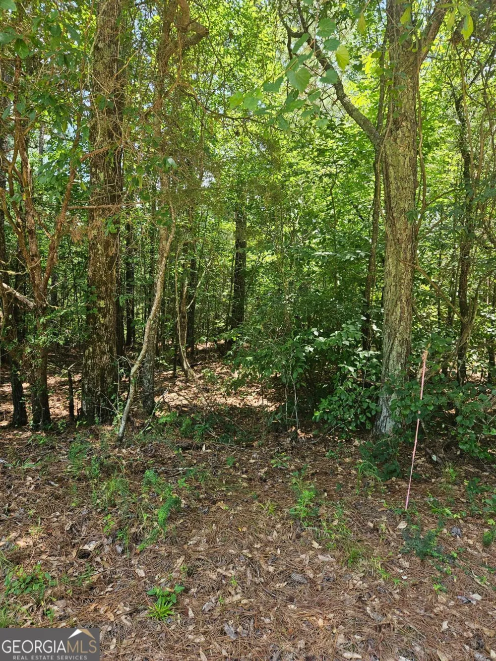 292 Mccannon Rd Tract 3A Carlton, GA 30627