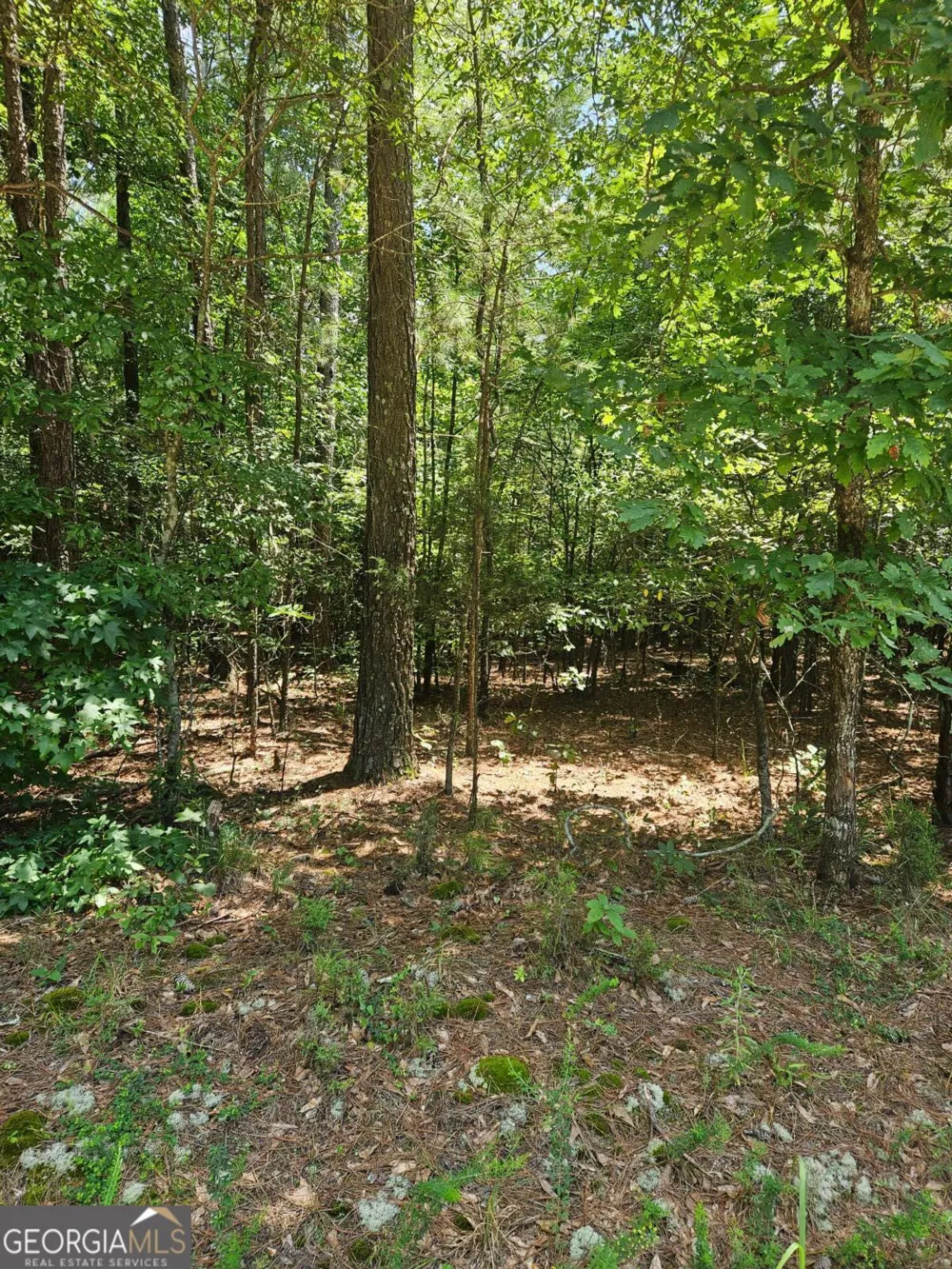 292 Mccannon Rd Tract 3A Carlton, GA 30627