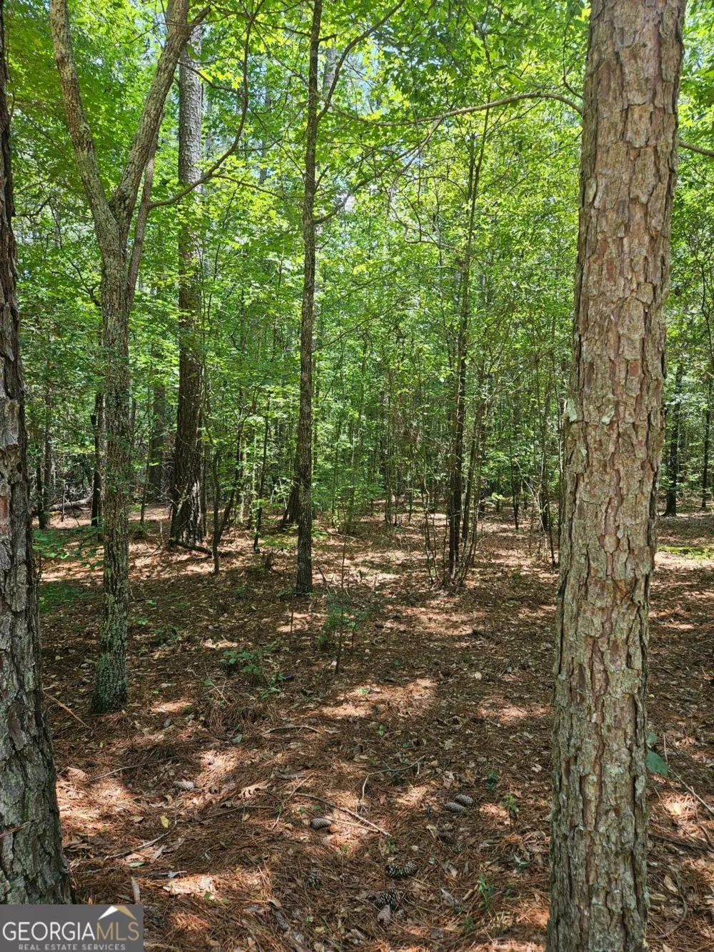292 Mccannon Rd Tract 3A Carlton, GA 30627