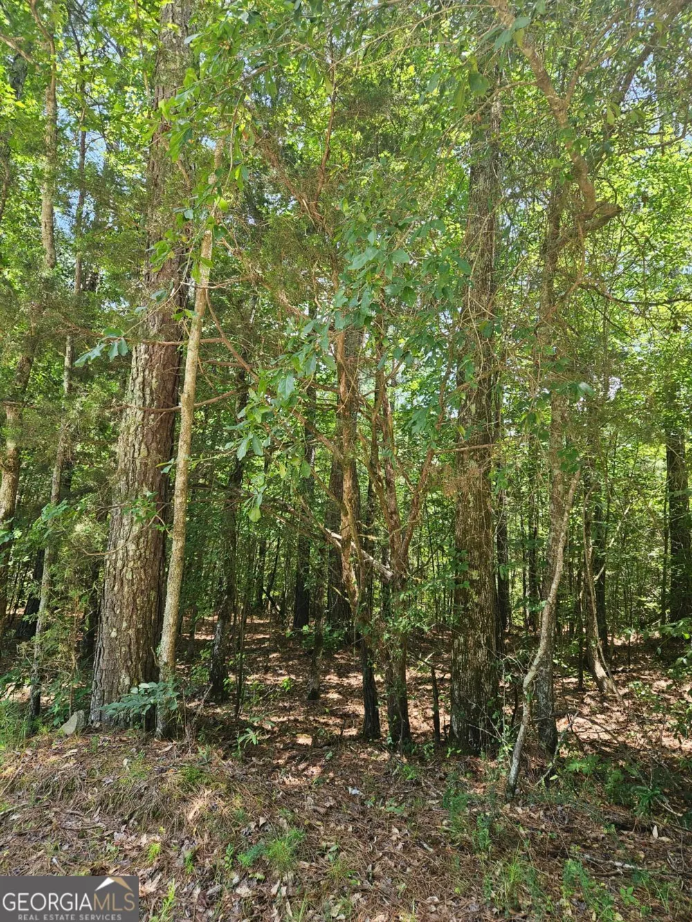 292 Mccannon Rd Tract 3A Carlton, GA 30627