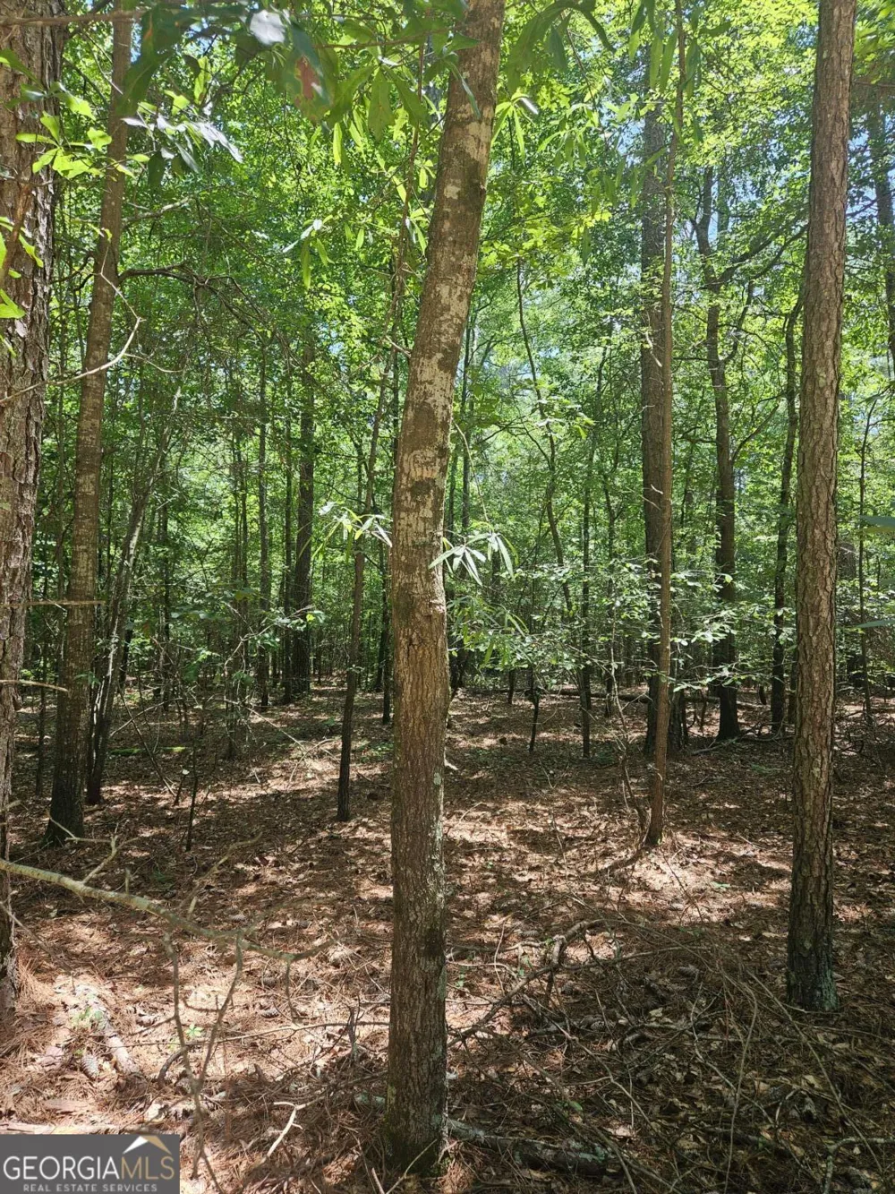 292 Mccannon Rd Tract 3A Carlton, GA 30627
