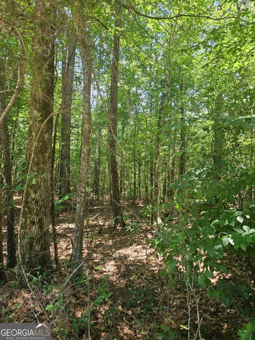 292 Mccannon Rd Tract 3A Carlton, GA 30627