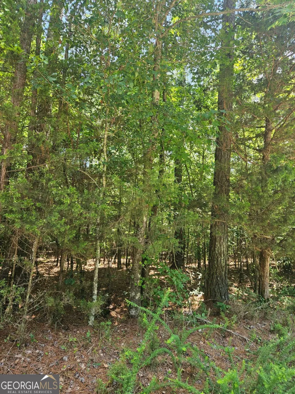 292 Mccannon Rd Tract 3A Carlton, GA 30627