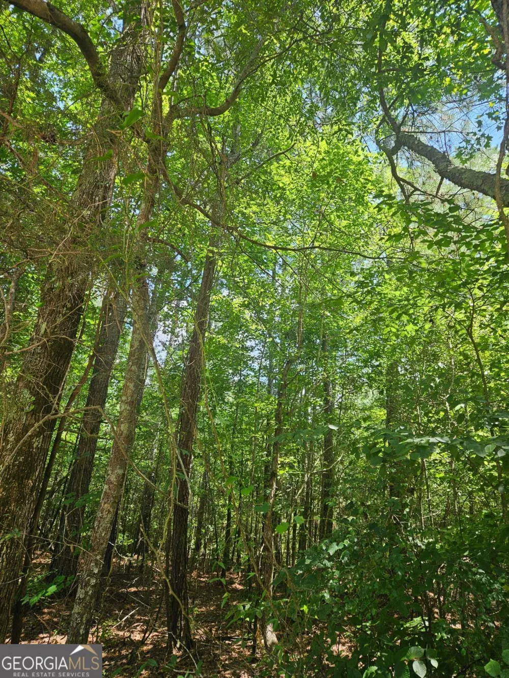 292 Mccannon Rd Tract 3A Carlton, GA 30627