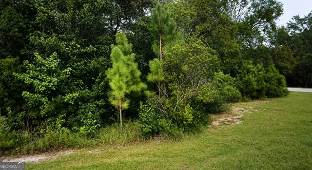 13 Ace CIR Brunswick, GA 31523