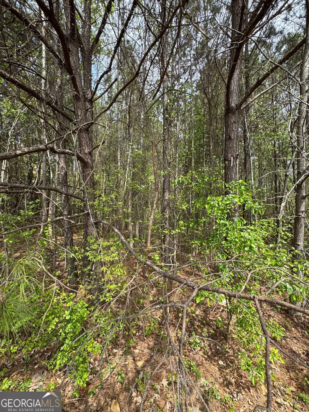 0 Highway 138 Jonesboro, GA 30236