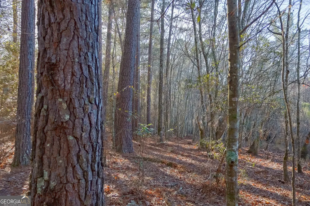557 Limestone RD Cochran, GA 31014