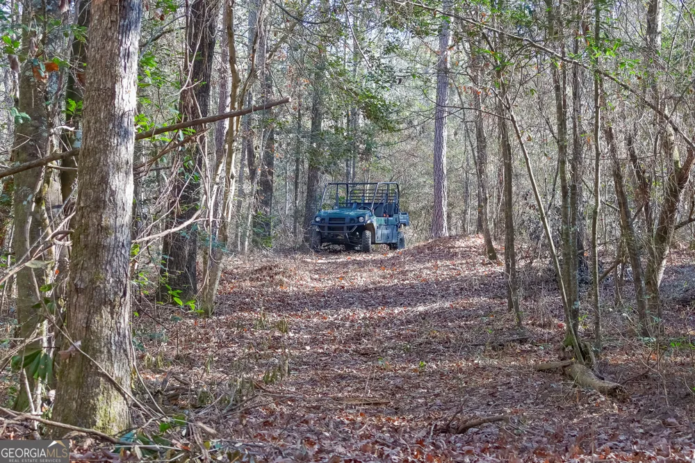 557 Limestone RD Cochran, GA 31014