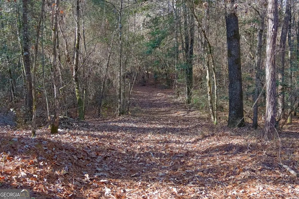 557 Limestone RD Cochran, GA 31014