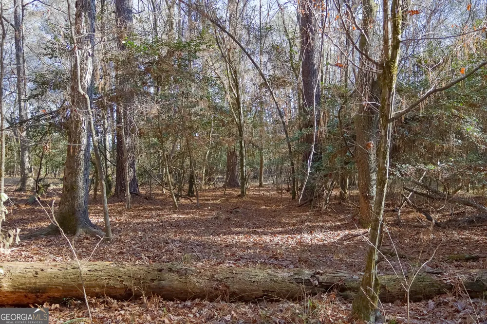 557 Limestone RD Cochran, GA 31014