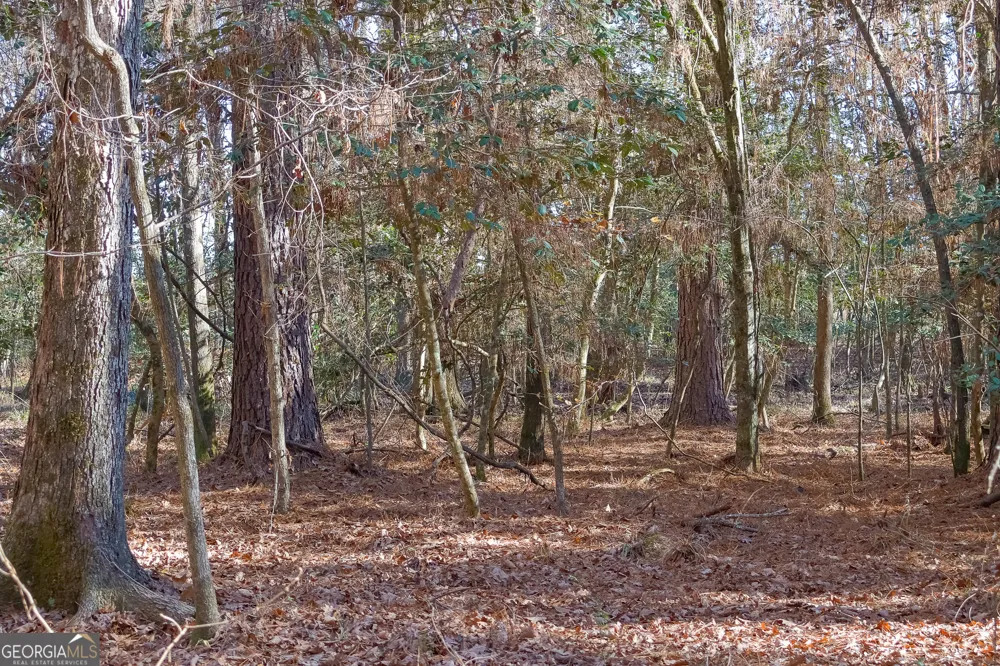 557 Limestone RD Cochran, GA 31014