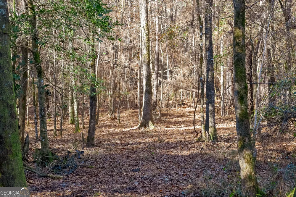 557 Limestone RD Cochran, GA 31014