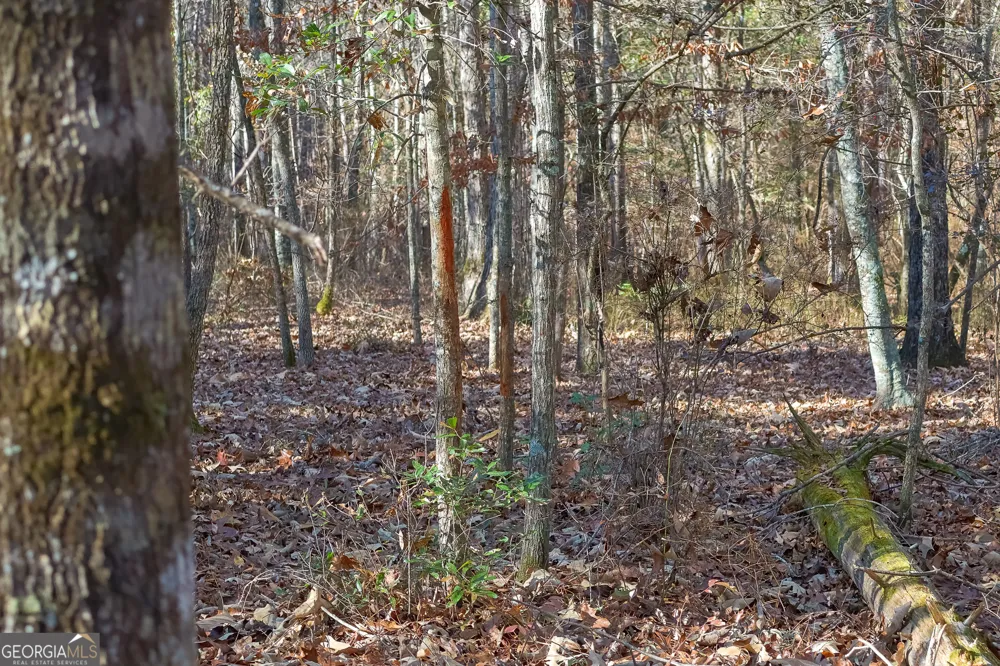 557 Limestone RD Cochran, GA 31014