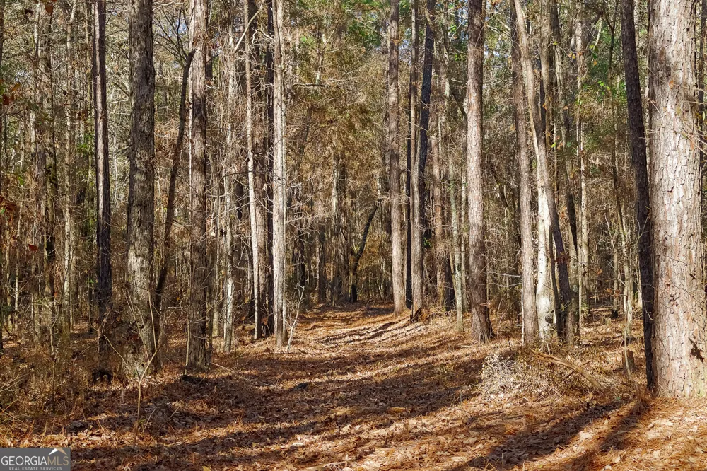 557 Limestone RD Cochran, GA 31014